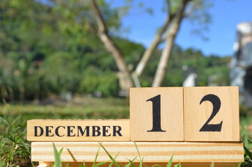 December 12, Cover natural background for your business.