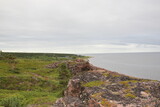 Fototapeta Most - Green coast of the White sea on a cloudy summer day. Flora of the north of Russia.
