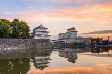 Wall Mural - Nagoya, Japan castle moat