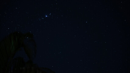 Wall Mural - sky with stars