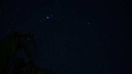 Wall Mural - sky with stars