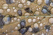 Wassertropfen auf einem Blatt, Hintergrund, Struktur