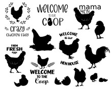 Download Chicken Silhouette Clipart Free Stock Photo Public Domain Pictures