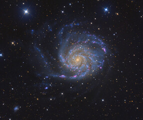 Wall Mural - m101 the pinwheel galaxy