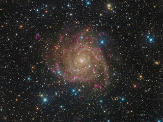 Wall Mural - ic 342 hidden galaxy