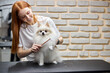 © Roman - groomer combing wool of spitz in salon, grooming master cuts and shaves, cares for a dog in professional salon for pets