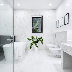 Wall Mural - Black and white bathroom with window