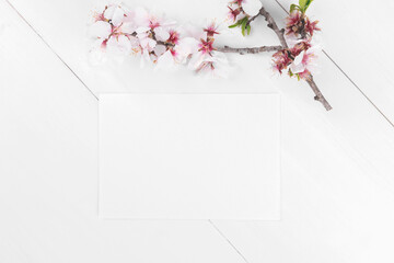 Wall Mural - White empty card mockup with blooming almond tree branch. Valentine's Day 3,5x5 card for your love