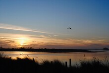 Sunset On Eureka, California's Pacific Coast On Humboldt Bay. Bird Flying. Humboldt Bay Stretches From The Sloughs And Creeks At Arcata Marsh To The Humboldt Bay National Wildlife Refuge At Loleta. 