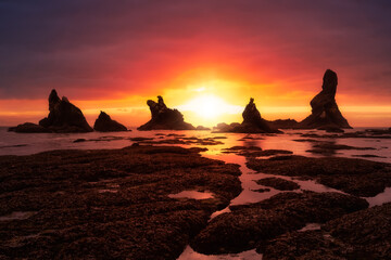 Wall Mural - Beautiful view of a scenic landscape at the Ocean Coast. Taken at Shi Shi Beach in Neah Bay, West of Seattle, Washington, United States of America. Colorful Sky Art Render