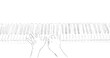 Playing the piano. Hands on the piano keys. Drawing.