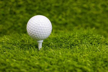 Wall Mural - Golf ball is on tee ready to tee off 