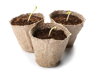 Peat pots with soil and green seedling on white background