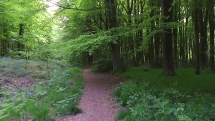 Wall Mural - Walking in West Woods - Marlborough