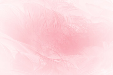 Beautiful light pink feather pattern texture background