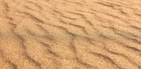  Yellow sand closeup as texture. Selective focus