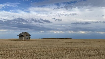 Wall Mural - Old barn on the empty field after harvesting in sunny day. Panorama picture with mowed wheat field  under  sunny day. Czech Republic.