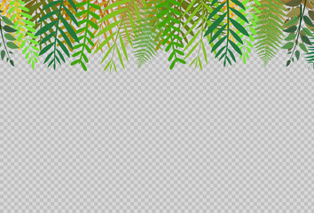 Green leaf frame pattern on top isolated on white vector illustration