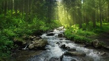 Nature River Waterfall Forest Sun Morning Magical