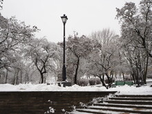 Snow-covered Winter Park. Stairs In The Park