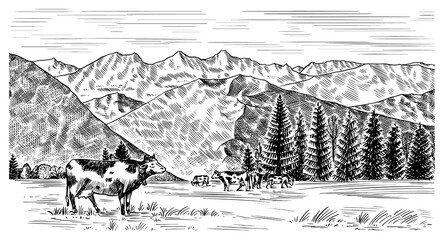 Poster - Rural meadow. A village landscape with cows, hills and a farm. Sunny scenic country view. Hand drawn engraved sketch. Vintage rustic banner for wooden sign or badge or label.