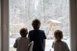 © Gajus - Kids looking out the window while snowing