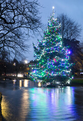 illuminated christmas tree in the river at bourton-on-the-water in the cotswolds.