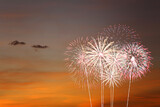 Fototapeta Dmuchawce - Fireworks in the twilight sky.