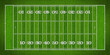 top view of standard yard size layout empty american football sport field with real green realistic grass and copy space. Team sports recreation background