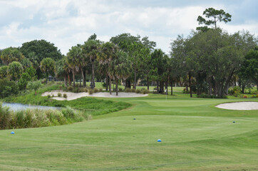 View of Par Three Well Bunkered Hole from Tee