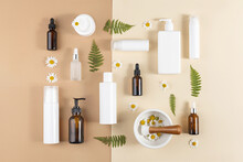 Set Of Care Cosmetics. Various Bottles, Tubes With Cosmetic, Chamomile Flowers, Fern Leaves And Mortar Bowl With Pestle On Beige And Brown Background. Beauty Concept. Top View Flat Lay