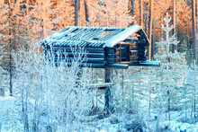 Abandoned Storage Shed For Storing Food By Northern People In The Taiga Of Siberia.