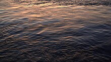 Wavy Ocean Surface In The Rays Of The Setting Sun. Dark Sea Water With Reflection Of Red Rays Of The Sun. Water Background