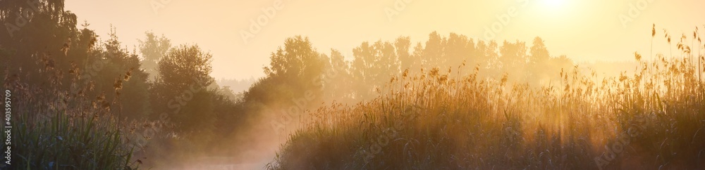 Country field in a fog at sunrise. Tree silhouettes in the background. Pure soft golden morning sunlight. Atmospheric landscape. Idyllic rural scene. Concept art, fairy tale, magic. Panoramic view - obrazy, fototapety, plakaty 
