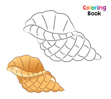 Sea Shell, Coloring Page For Children.