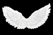 White Angel Wings Isolated on Black