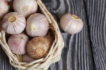 Wall Mural - Garlic in a wicker basket. Close-up shot. On black pine boards.