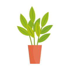 Canvas Print - house plant in ceramic pot in orange color isolated icon vector illustration design