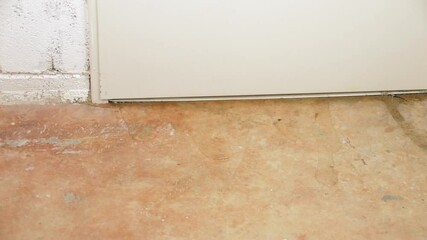 Wall Mural - Water damage in basement caused by sewer backflow due to clogged sanitary drain