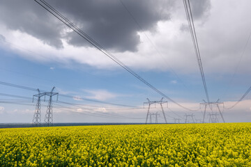 Power lines and high-voltage lines against the backdrop of blooming oilseed rape on a summer day.