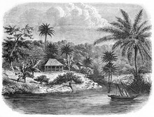 Wooden Light Building Rising On A Shore Surrounded By Palms, James Brooke House In Sarawak, Borneo (English Politician And Explorer 1803-1868). Etching Style Art By De Bar, Le Tour Du Monde, 1861