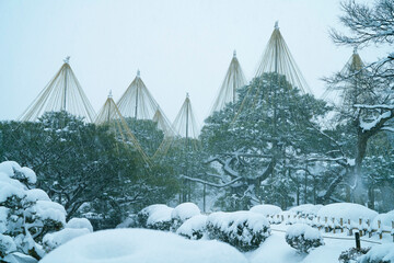 Poster - Great snow day in Kanazawa, 2021.