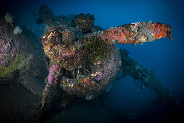 World war 2 wreck underwater in Papua New Guinea