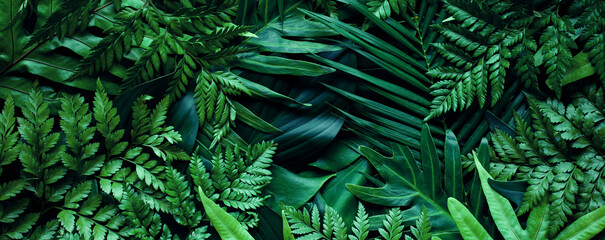 Poster - closeup tropical green leaf background. Flat lay, fresh wallpaper banner concept