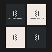 Letter S Box Logo Vector Design Template