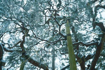 Canvas Print - Great snow day in Kanazawa, 2021.