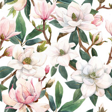 Beautiful Seamless Pattern With Hand Drawn Watercolor Gentle White And Pink Magnolia Flowers. Stock Illustration.