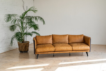 a luxurious large bright living room with a large green potted plant in an industrial style with a b