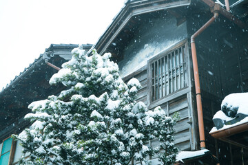 Wall Mural - Great snow day in Kanazawa, 2021.