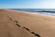 Footprints In The Sand On Pristine Whitecrest Beach On Cape Cod